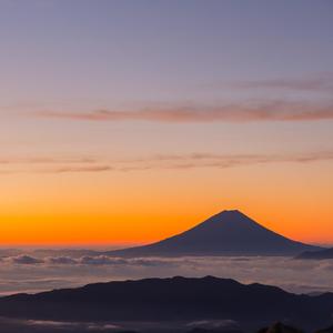 欧美孕妇交受❌❌❌高潮1
